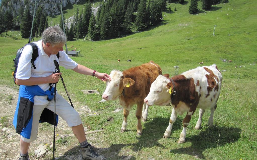 Haus Tirol Leilighet Thiersee Rom bilde