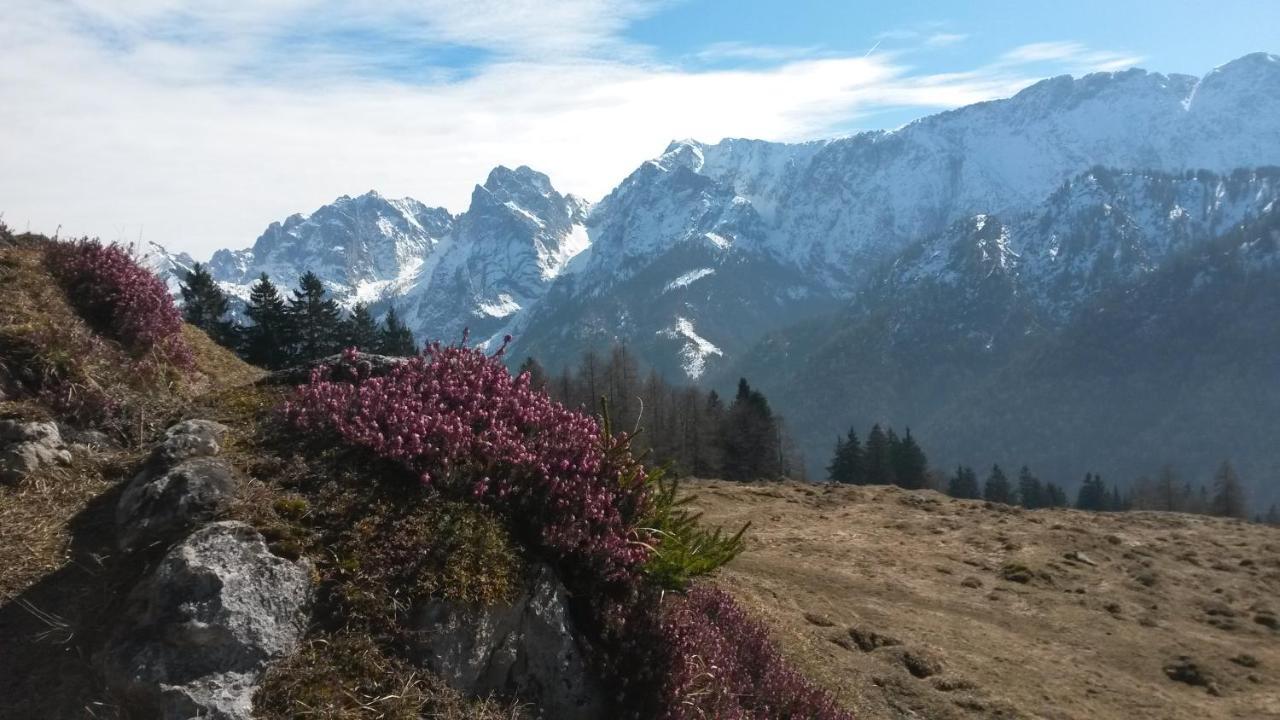 Haus Tirol Leilighet Thiersee Eksteriør bilde